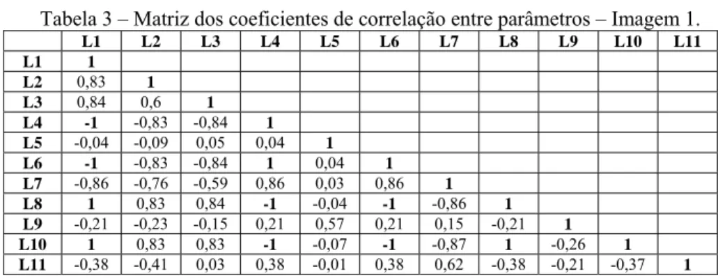 Tabela 4 – Matriz dos coeficientes de correlação entre parâmetros – Imagem 2.  L1 L1 L2 L3 L4 L5 L6 L7 L8 L9 L10  L11  L2 1    L3  0,79  1  L4  -0,24 -0,37  1  L5 -1 -0,80 0,24  1  L6  0,48 0,33 0,01 -0,48  1  L7 -1 -0,79 0,24  1  -0,48  1  L8 0,99 0,77 -0