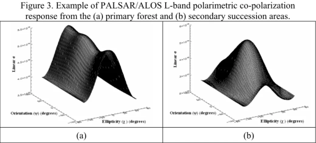 Figure 3. Example of PALSAR/ALOS L-band polarimetric co-polarization  response from the (a) primary forest and (b) secondary succession areas