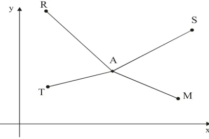 Figura 4 – Rede Geodésica Bidimensional. 