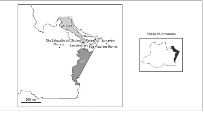 Figura 2. Os municípios do território da cidadania do baixo Amazonas (adaptado de PTDRS, 2011, p