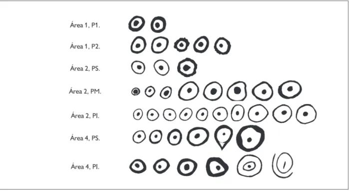 figura 9. desenho e variabilidade dos círculos presentes no Campo Yabebirí. os desenhos não mantêm uma escala entre si.