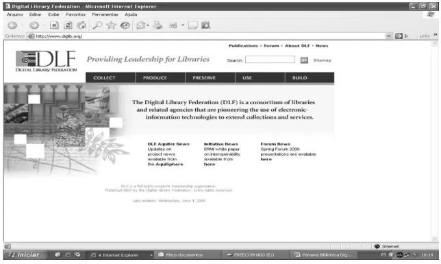 Figura 4 - Website da Digital Library Federation 