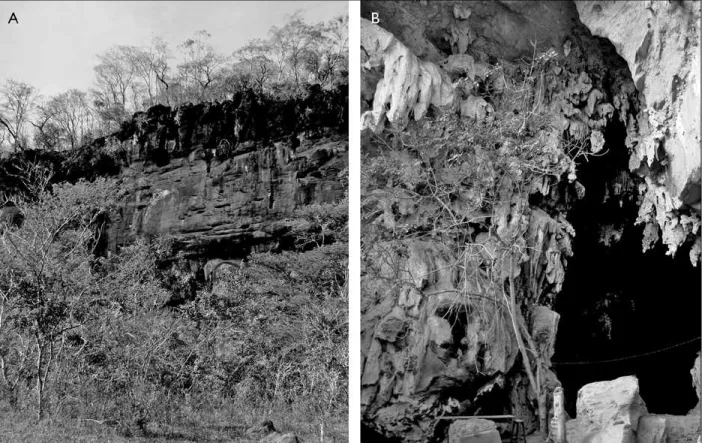 Figura 2. Área de Proteção Ambiental Carste de Lagoa Santa, MG, Brasil: A) maciço calcário sob o qual se implanta o sítio Lapa do Santo  (abrigo sob rocha); B) detalhe da entrada da área abrigada