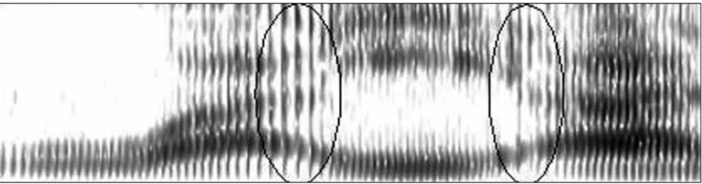 Figura 3. Espectrograma da palavra Mundurukú  /waɁíɁa/  ‘cabaça’. Fonte: Picanço (2005, p
