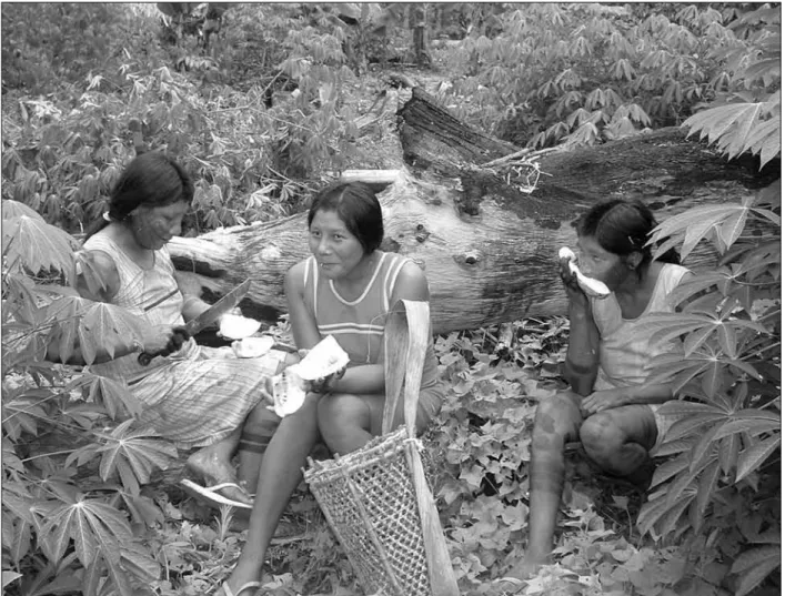 Figura 3. Mulheres Mebêngôkre numa roça de Moikarakô. Foto: Pascale de Robert/MNHN/IRD, 2005.