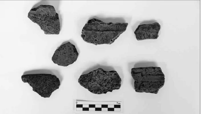 Figura 5. Fragmentos cerâmicos identificados no sítio Jabuti. Cerâmica de espessura fina, queima incompleta e temperada com conchas  moídas