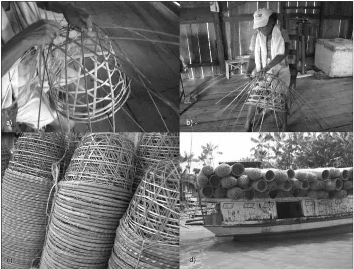 Figura 3. Confecção e transporte de paneiros comercializados por ribeirinhos da comunidade de Cutininga, município de Abaetetuba, Pará,  Brasil