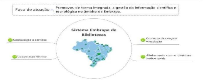 Figura 2 - Sistema Embrapa de Bibliotecas.  