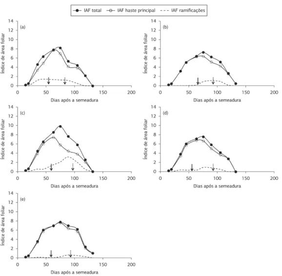 Figura 3. Evolução do índice de área foliar total (IAFtotal), na haste principal (IAF haste principal) e nas ramificações (IAF ramificações)  das cultivares de soja de tipo de crescimento determinado (a) IAS 5, (b) Fepagro 36 RR, (c) Bragg, (d) BRS 246 RR 