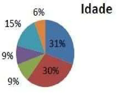 Gráfico 1: Idade da amostra 