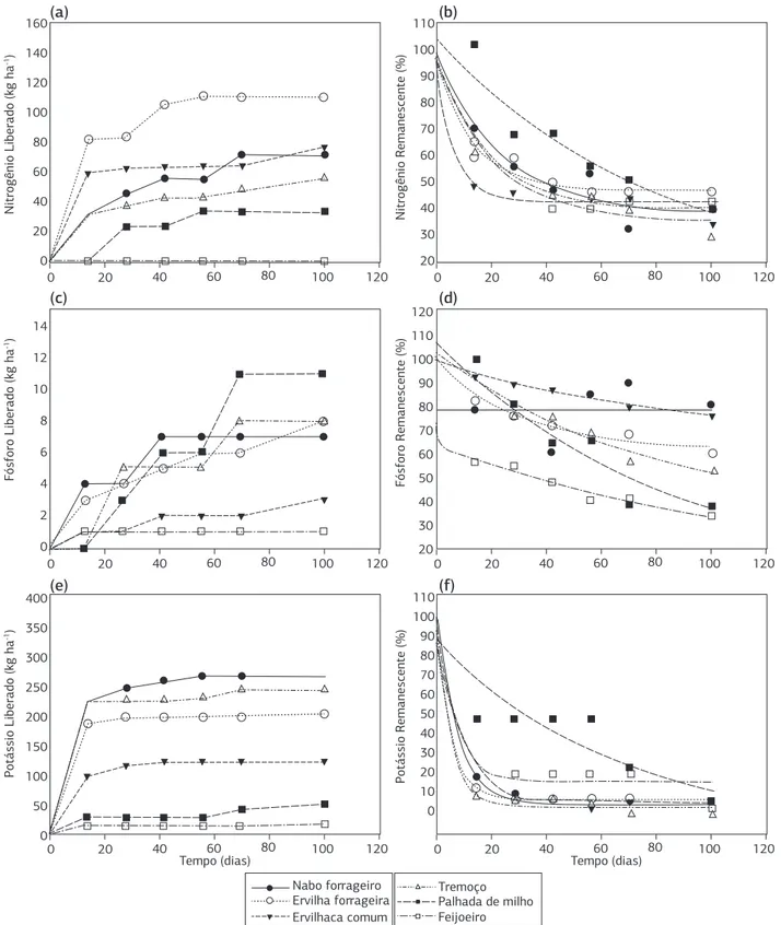 Figura 4. Nitrogênio, fósforo e potássio, liberado e remanescente, em função das espécies outonais e da palhada de milho durante cem dias  de avaliação