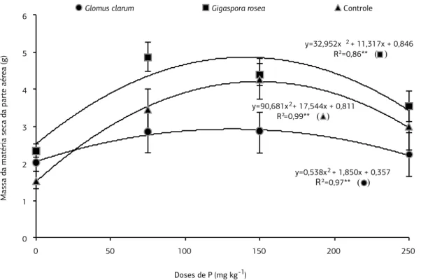 Figura 1. Matéria seca da parte aérea de plantas de Arachis hypogea colonizadas com fungos micorrízicos arbusculares (Glomus clarum  e  Gigaspora rosea) e não colonizadas (controle), aos 50 dias após o plantio, considerando doses fósforo