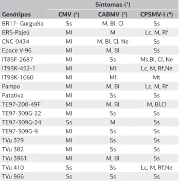 Tabela 1. Sintomas apresentados pelos genótipos de feijão-caupi  submetidos à inoculação mecanicamente com os vírus CMV,  CABMV e CPSMV-I em condição de gaiolas protegidas com tela  antiafídeos