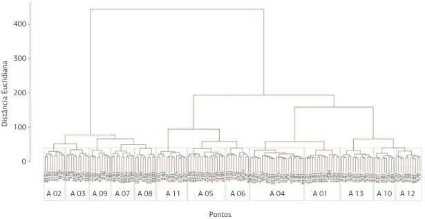 Figura 3. Dendograma da análise de agrupamento com base na distância euclidiana que classifica a área de estudo em 13 ambientes  homogêneos