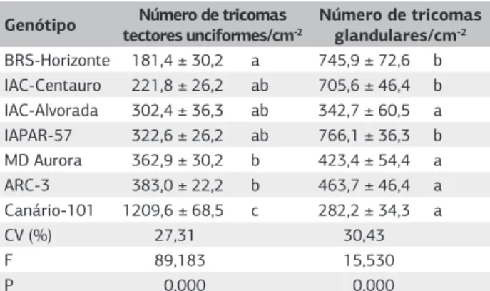 Tabela 4.  Número médio de tricomas (±EP) em folíolos de  cultivares de feijoeiro