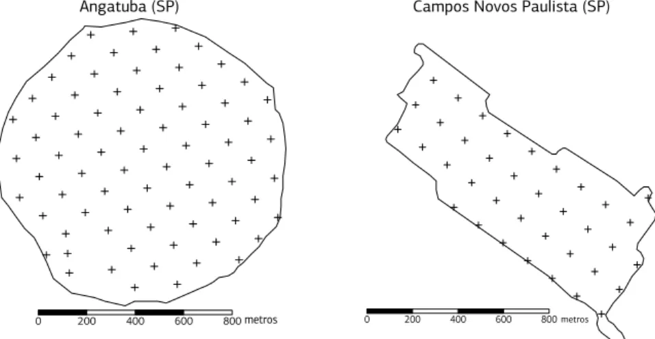 Figura 1. Grade de amostragem em Angatuba (SP) e Campo Novos Paulista (SP) em Latossolo Vermelho distrófico sob o sistema de  semeadura direta (100 x 100 m).
