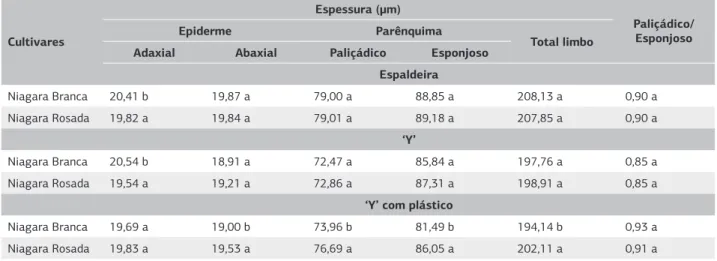 Tabela 3. Espessura média de tecidos foliares e razão entre os parênquimas paliçádico e esponjoso entre as cultivares Niagara Branca e   Niagara  Rosada, desenvolvidas sob diferentes sistemas de condução (n=300)