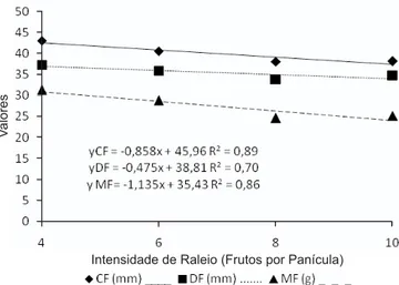 Figura 1.  Comprimento (CF), diâmetro (DF) e massa de fruto (MF) de nespereira em diferentes intensidades de raleio (4, 6, 8 e 10 frutos por panícula)