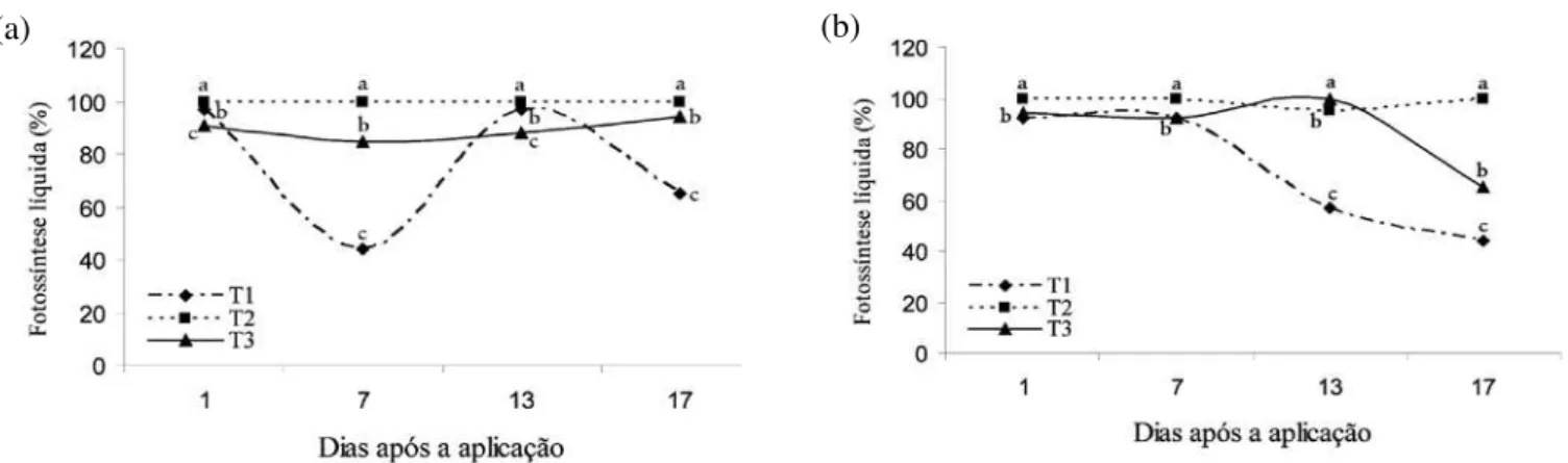 Figura  2.  Variação  relativa  da  respiração  em  soja,  cultivar  M-SOY  8008  RR,  nos  tratamentos:  testemunha  (T 1 );  com  aplicação  da  estrobilurina  piraclostrobina  (T 2 );  e  com  aplicação  de  tebuconazol  (triazol)  (T 3 )