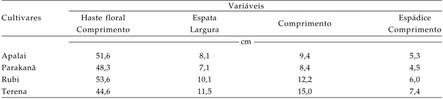 Tabela 4.  Médias de comprimento da haste floral, largura e comprimento da espata e comprimento da espádice de cultivares de antúrios cultivadas em vasos por 36 meses em Londrina, 2006.