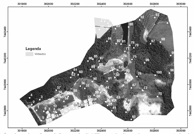 Figura 1.  Área de estudo no Centro de Frutas em Jundiaí (SP), com a localização dos pontos amostrais de solos.