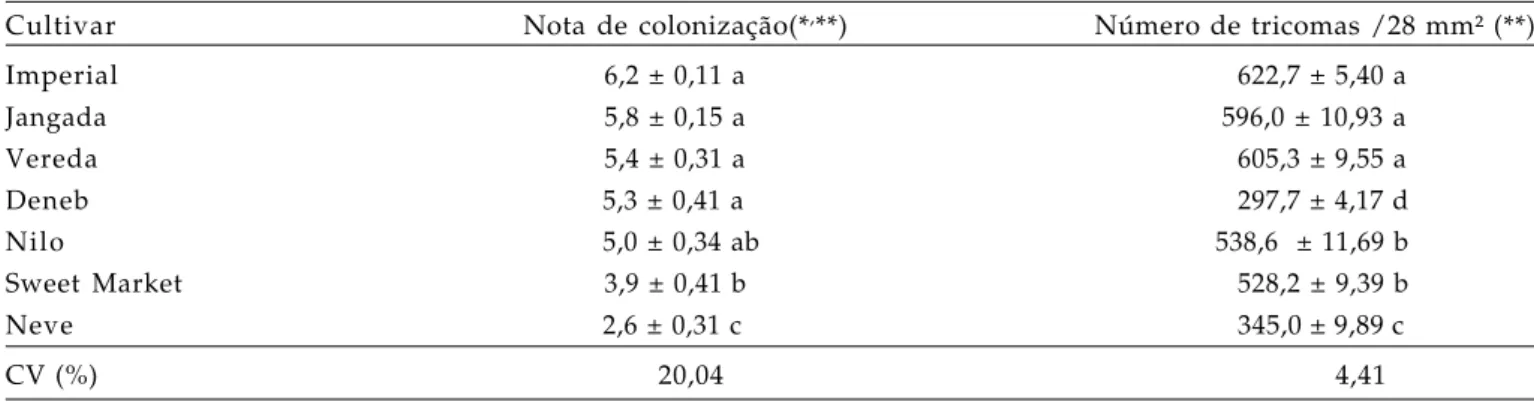 Tabela 3 . Média (±EP) da colonização de B. tabaci biótipo B e densidade de tricomas da superfície abaxial de folhas de sete cultivares de meloeiro