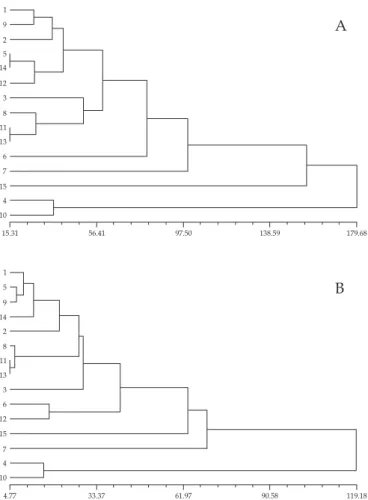Figura 2. Dendrogramas de 15 progênies de batata em primeira geração clonal, pelo método de agrupamento UPGMA da distância genética de Mahalanobis