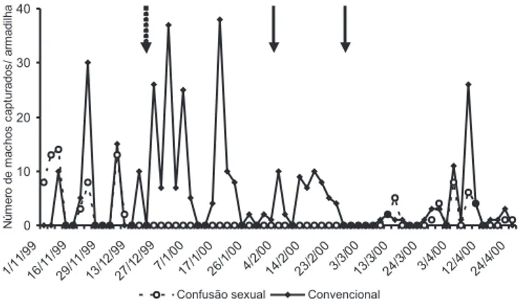 Figura 2. Flutuação populacional de machos de  B. cranaodes no tratamento com confusão sexual para o controle de G
