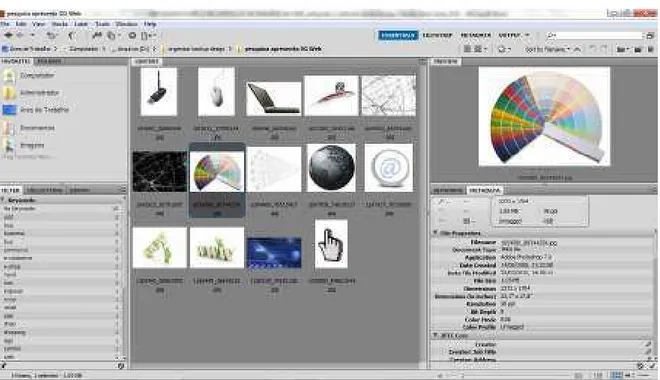 Figura 1: A interface do Adobe Bridge CS5 