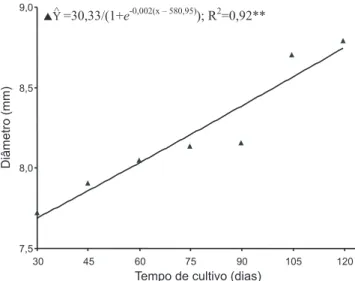 Figura 2. Diâmetro do caule de mudas de goiabeira ‘Pedro Sato’ em função do tempo de cultivo