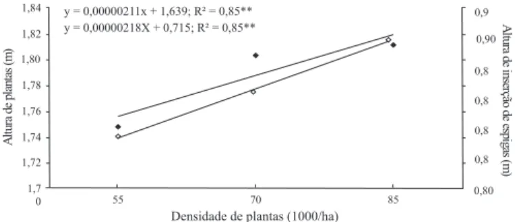 Figura 2. Representação da equação de regressão para altura de plantas e altura inserção de espigas em função das densidades de plantas de híbridos de milho P30K75 e TORK
