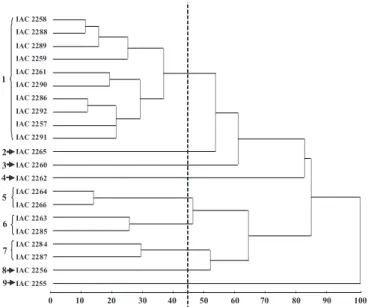 Figura 1.  Dendrograma ilustrativo mostrando o agrupamento de 21 progênies de meios-irmãos de Coffea canephora pelo método UPGMA, obtido a partir da distância generalizada de Mahalanobis, estimada com base em 14 características morfoagronômicas.