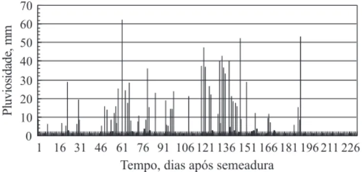Figura 1. Distribuição diária da pluviosidade na área experimental entre os meses de outubro de 2005 até maio de 2006 (Votuporanga, SP).