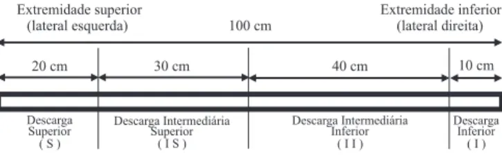 Figura 1. Representação esquemática da região de descarga da mesa densimétrica utilizada no beneficiamento do lote de sementes de café ‘Catuaí Amarelo IAC 62’ (vista frontal do equipamento).