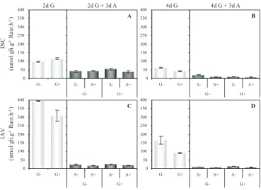 Figura 6. Atividade das invertases neutra do citosol (INC) (A e B) e ácida do vacúolo (IAV) (C e D) em raízes de plântulas de milho 'Saracura' com dois (A e C) e quatro dias (B e D) de germinação (    ), submetidas a três dias de alagamento (   )
