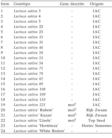 Figura 1. Genealogia das cultivares de alface do programa de melhoramento de alface da IAC-APTA