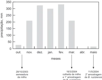 Figura 1. Distribuição da precipitação pluvial mensal durante o ciclo das culturas de milho e Brachiaria ruziziensis ava1iada na fazenda Canadá Uberlândia, MG.