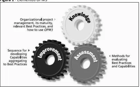 Figura 1 - Elementos OPM3 