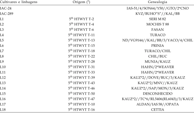 Tabela 1. Origem e genealogia de 18 linhagens mexicanas e duas cultivares-controle de trigo avaliadas nos experimentos instalados no Pólo Regional de Desenvolvimento Tecnológico dos Agronegócios do Leste Paulista, em Monte Alegre do Sul (SP), de 1999 a 200