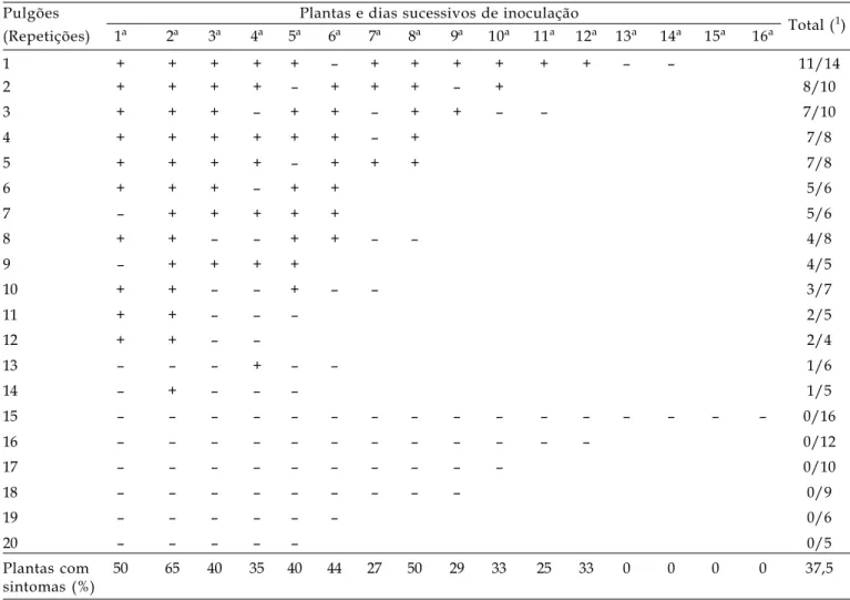 Tabela 1. Persistência da transmissão do VMNA em adultos ápteros de Aphis gossypii em períodos  sucessivos de acesso à inoculação de 24 h em plantas de algodoeiro (Cultivar CNPA ITA 90)