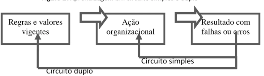 Figura 2: Aprendizagem em circuito simples e duplo 