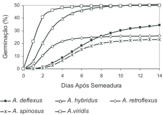 Figura 1. Germinação de cinco espécies de plantas daninhas do gênero Amaranthus em condição de fotoperíodo (8 horas de luz/16 horas de escuro) com alternância de temperatura (20 – 30 ºC)