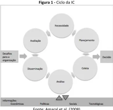Figura 1 - Ciclo da IC 