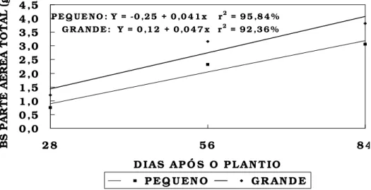 Tabela 3. Efeito da interação entre tamanho de tubérculos de tiririca e época de plantio de dissemínulos nas biomassas fresca e seca da parte aérea total, Campinas (SP), 2003