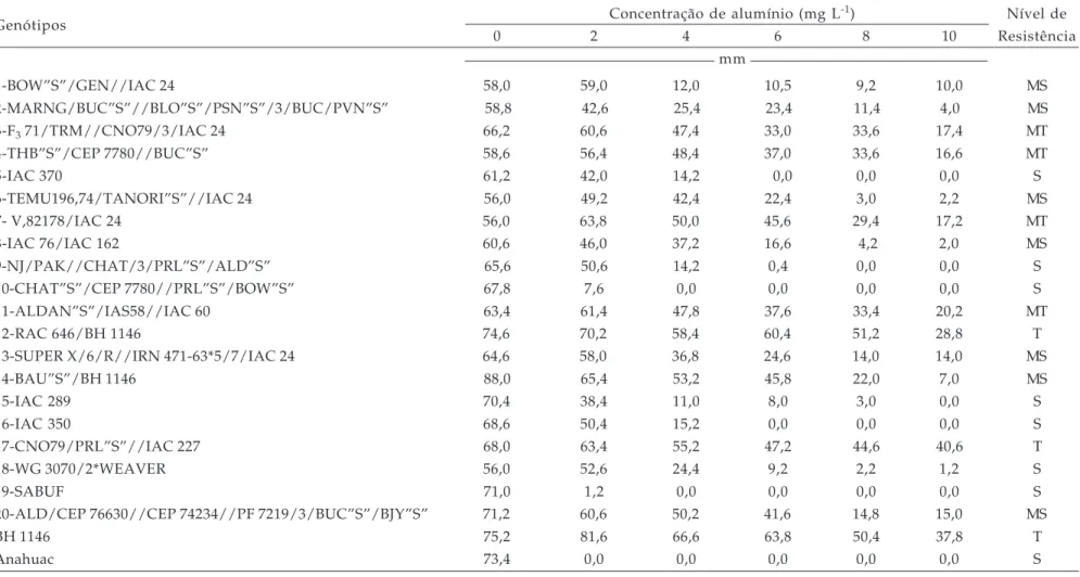 Tabela 4. Comprimento médio das raízes dos 20 genótipos de trigo, avaliados após 72 horas de crescimento em solução normal, que se seguiu a um crescimento em solução tratamento contendo seis diferentes concentrações de alumínio