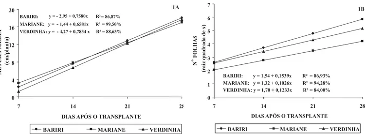 Figura 1.  Efeito das épocas de avaliação nas cultivares Bariri, Mariane e Verdinha para  altura média das plantas (1A) e número de folhas (1B) 