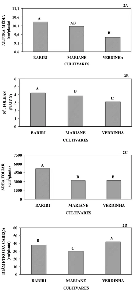 Figura 2.  Comparação entre as cultivares Bariri, Mariane e Verdinha para altura média de plantas (2A), número de folhas (2B), área foliar (2C) e diâmetro de cabeça (2D),  por ocasião da  colheita ( Tukey a 5%)