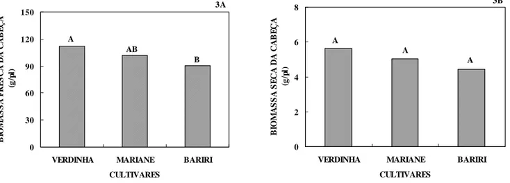 Figura 3.  Comparação entre as cultivares Verdinha, Mariane e Bariri quanto à biomassa fresca e a seca de cabeça, por