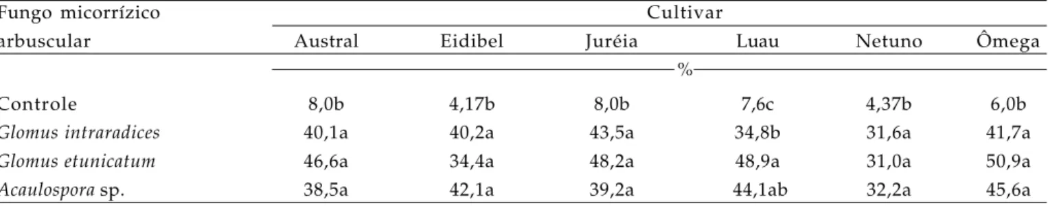 Tabela 2. Eficiência da simbiose (ES) em porcentagem estabelecida por fungos micorrízicos arbusculares em cultivares de Anthurium andraeanum durante as etapas de aclimatização e formação da muda, após doze meses.