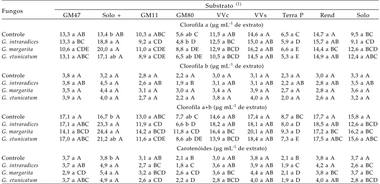 Tabela 7.  Teores de pigmentos fotossintéticos nas folhas de cafeeiro sob influência de fungos micorrízicos arbusculares, em diferentes substratos.